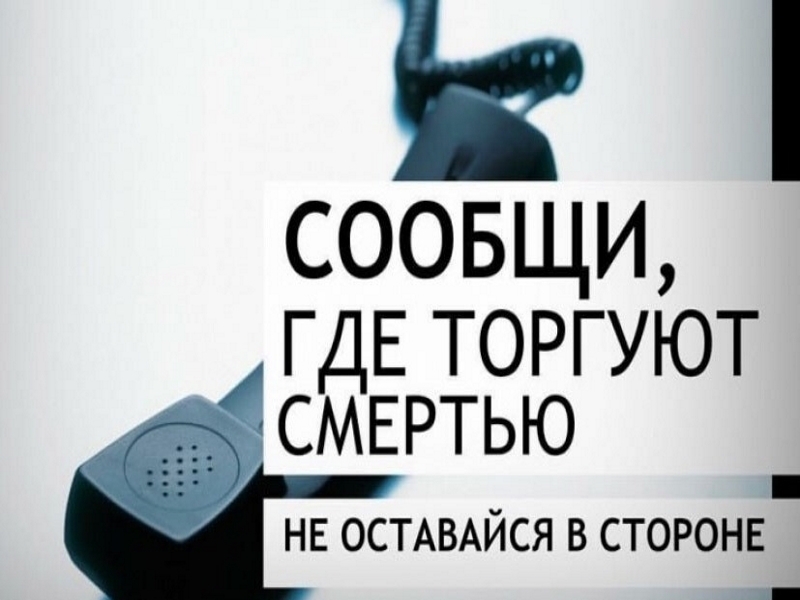 Акция «Сообщи, где торгуют смертью».