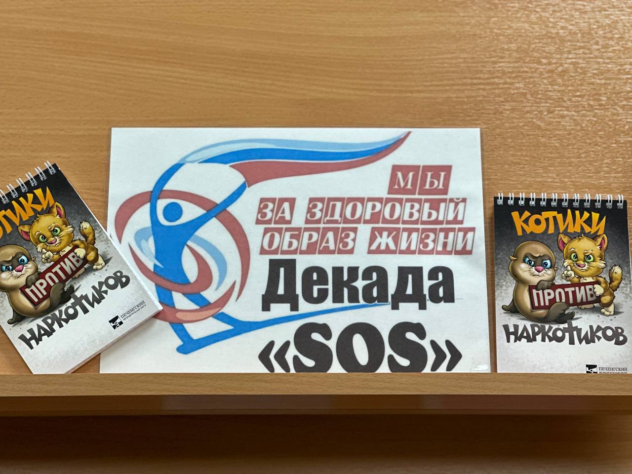 Региональная акция «Декада SOS».